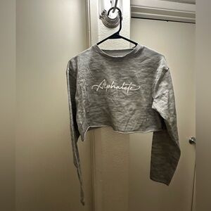 Alphalete Cropped Workout Long Sleeve